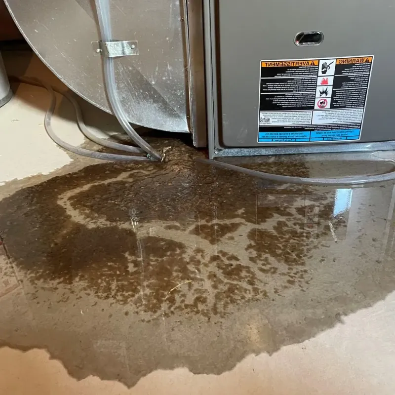 Pipe Burst and Leak Restoration in Fullerton, PA