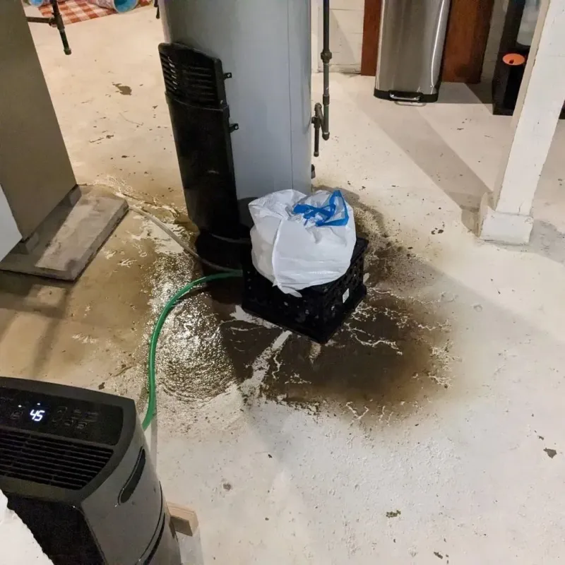 Sewage Backup Cleanup Service in Fullerton, PA